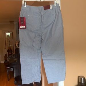 Band New white and blue strip ankle pants.